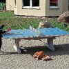Sport-Thieme Tischtennisplatte
