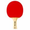 Sport-Thieme Tischtennisschläger